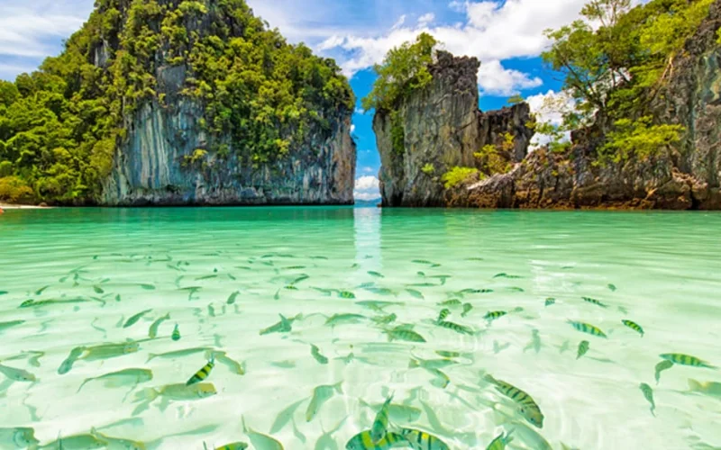 Amazing Neil and Havelock-4N/5D