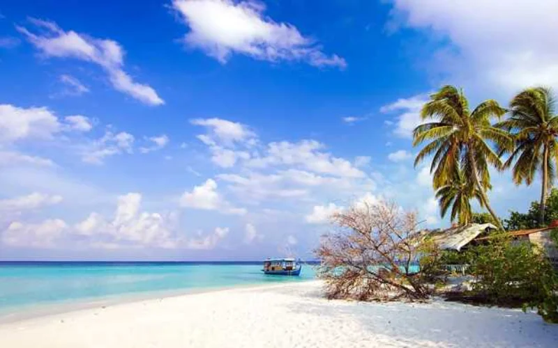 Exotic Andaman-5N/6D