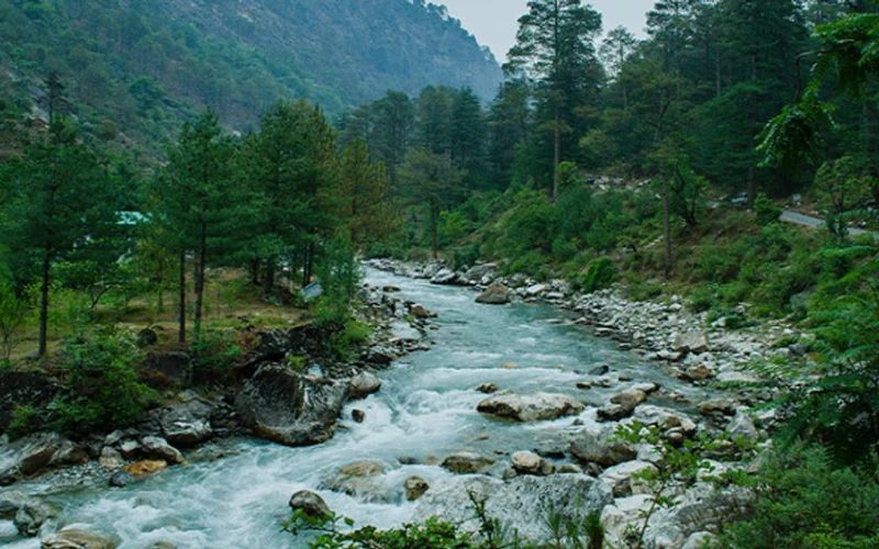 Glorious Jibhi & Tirthan Valley Trip-4N/5D