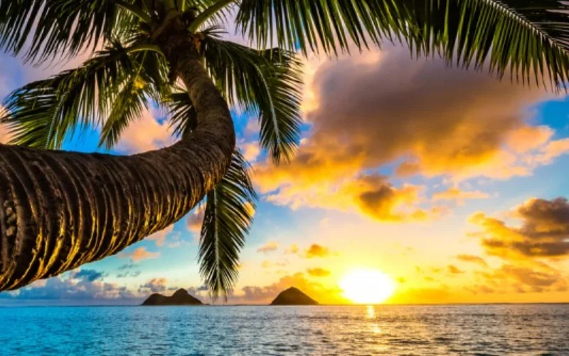 Marvels of Andaman-4N/5D