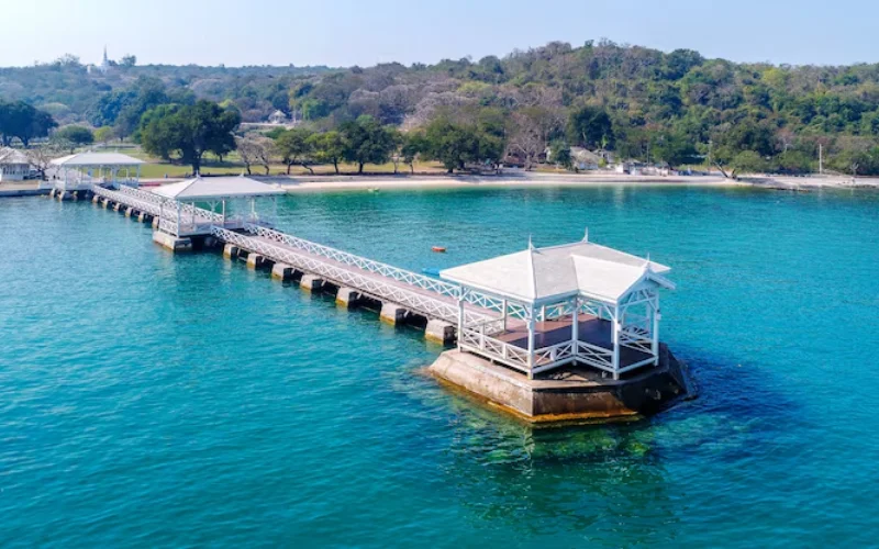 Highlights of Historic Tashkent-5N/6D